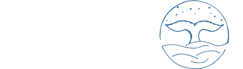 Webdesign by Bereishit